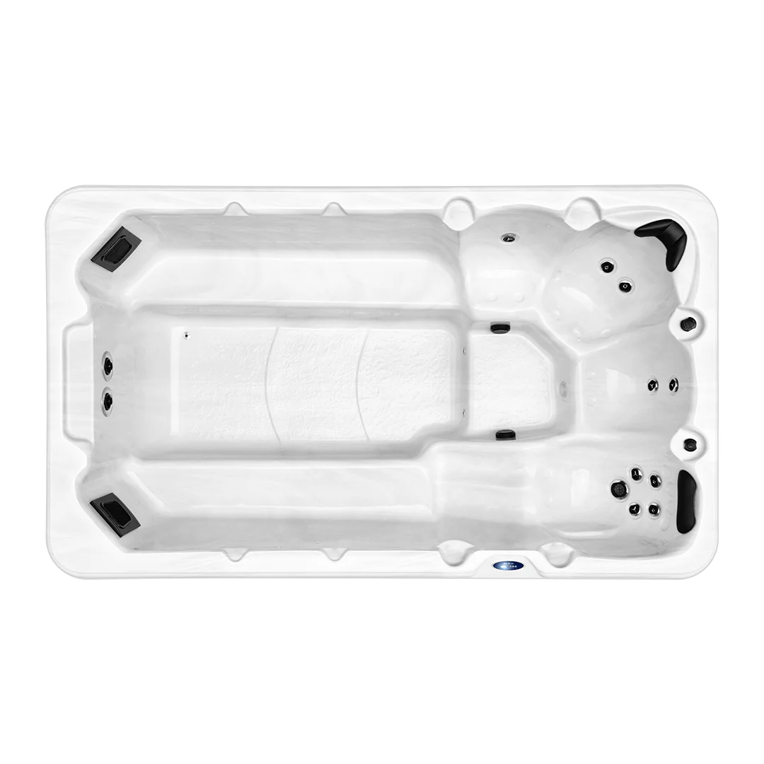 X529 Swim Spa