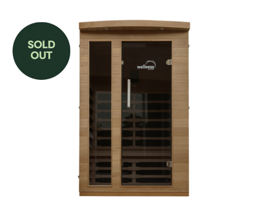 Wellness: 2-3 person Sauna