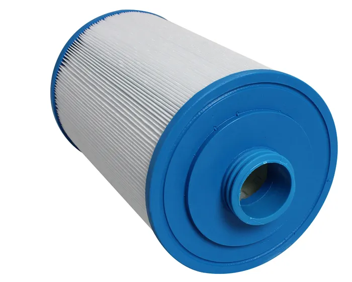 Silver Spas Filters( Set of 2)