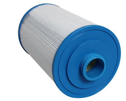 Silver Spas Filters( Set of 2)