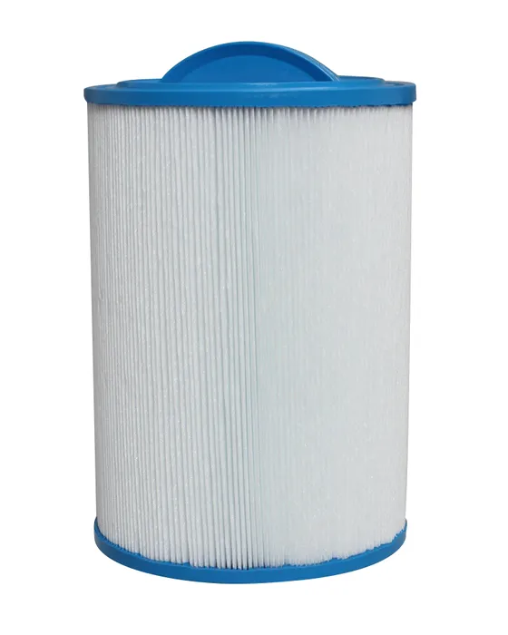 Silver Spas Filters( Set of 2)