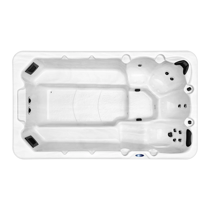 X529 Swim Spa